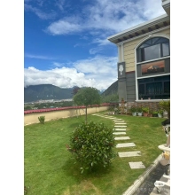 林芝市巴宜区 -西藏林芝大柏树景区的花园别墅