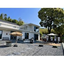 安庆市潜山市 -院里树下
